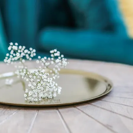 Main Square Platan Loft Collection