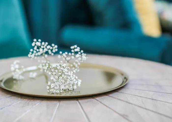 Main Square Platan Loft Collection